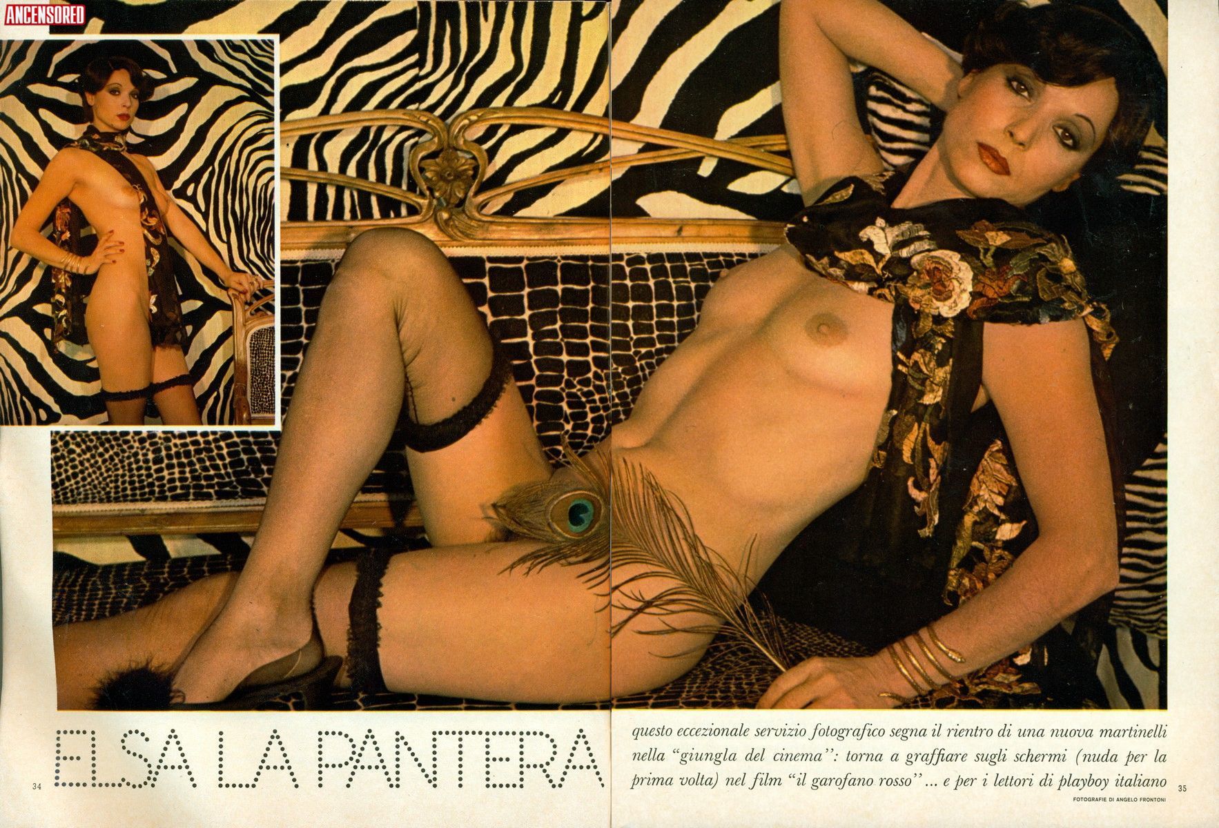 Nude elsa martinelli Playboy Magazine